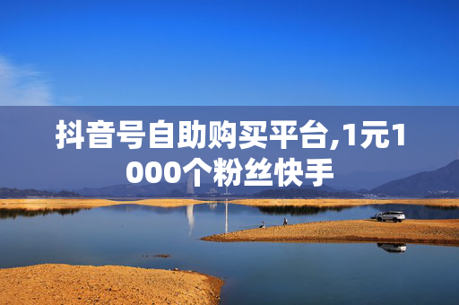 抖音号自助购买平台,1元1000个粉丝快手