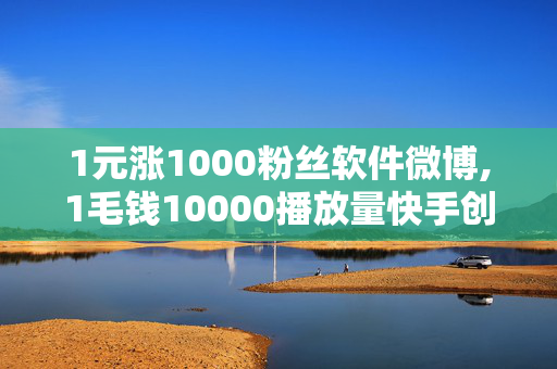 1元涨1000粉丝软件微博,1毛钱10000播放量快手创业