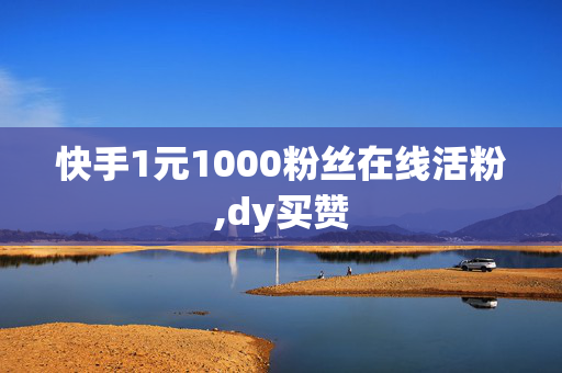 快手1元1000粉丝在线活粉,dy买赞