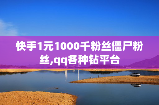 快手1元1000千粉丝僵尸粉丝,qq各种钻平台