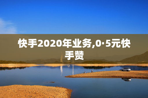 快手2020年业务,0·5元快手赞