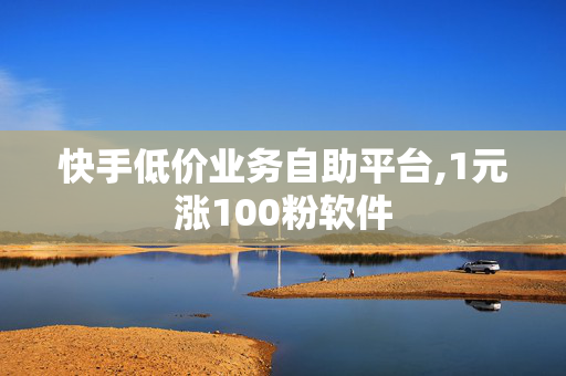 快手低价业务自助平台,1元涨100粉软件