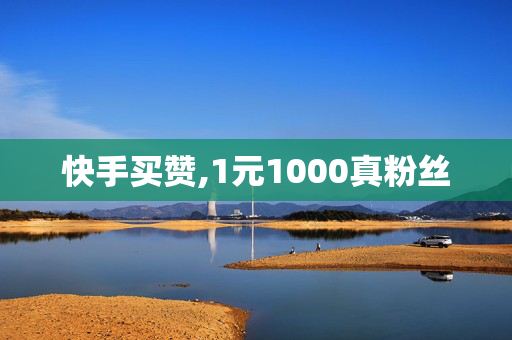 快手买赞,1元1000真粉丝