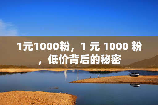 1元1000粉，1 元 1000 粉，低价背后的秘密