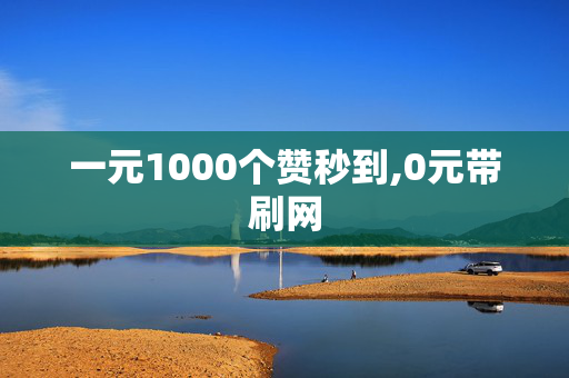 一元1000个赞秒到,0元带刷网