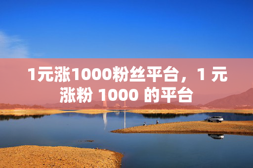 1元涨1000粉丝平台，1 元涨粉 1000 的平台