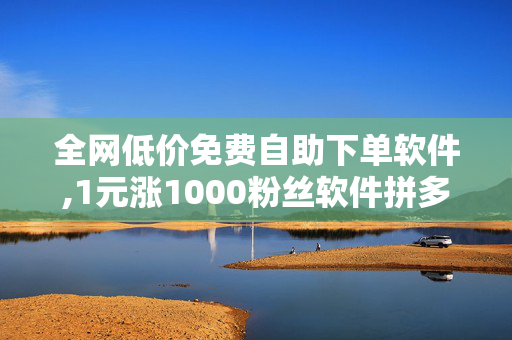 全网低价免费自助下单软件,1元涨1000粉丝软件拼多多