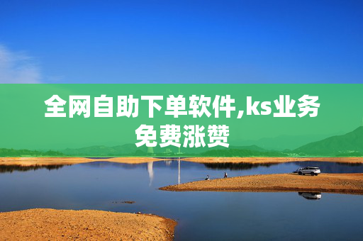 全网自助下单软件,ks业务免费涨赞