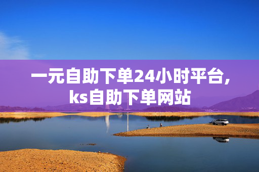 一元自助下单24小时平台,ks自助下单网站