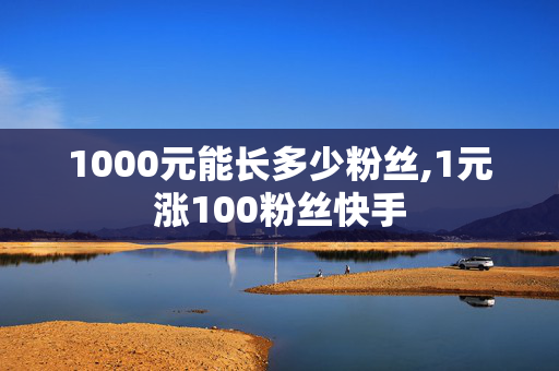 1000元能长多少粉丝,1元涨100粉丝快手