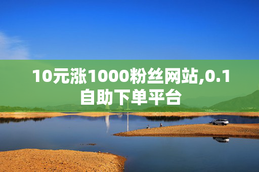 10元涨1000粉丝网站,0.1自助下单平台