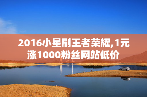 2016小星刷王者荣耀,1元涨1000粉丝网站低价