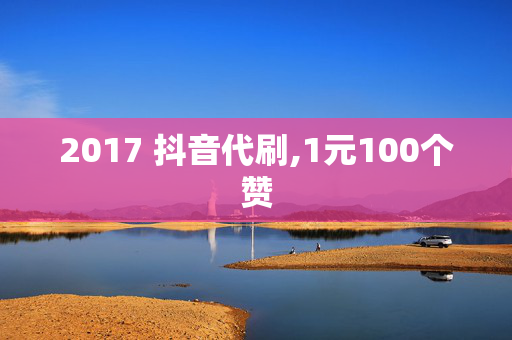 2017 抖音代刷,1元100个赞