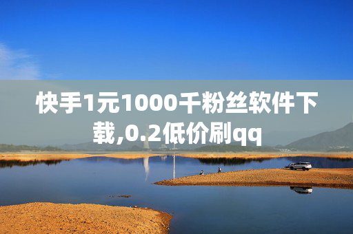 快手1元1000千粉丝软件下载,0.2低价刷qq