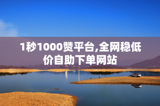 1秒1000赞平台,全网稳低价自助下单网站