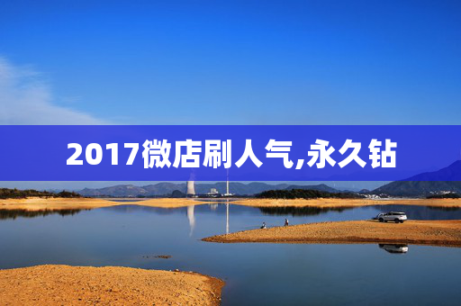 2017微店刷人气,永久钻