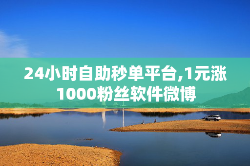 24小时自助秒单平台,1元涨1000粉丝软件微博