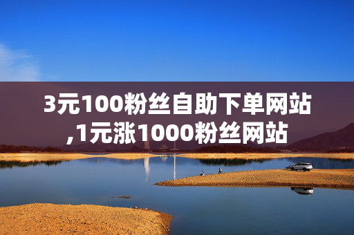 3元100粉丝自助下单网站,1元涨1000粉丝网站