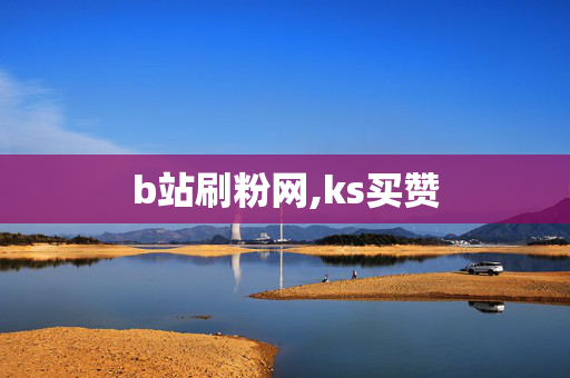 b站刷粉网,ks买赞