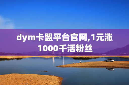 dym卡盟平台官网,1元涨1000千活粉丝