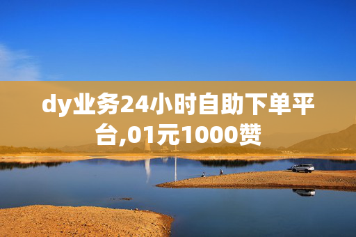 dy业务24小时自助下单平台,01元1000赞