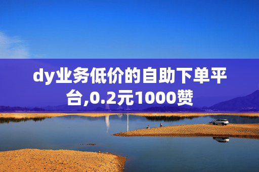 dy业务低价的自助下单平台,0.2元1000赞