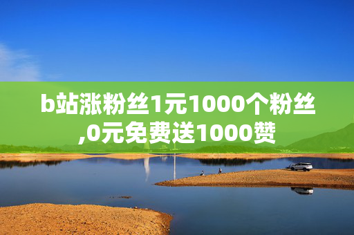 b站涨粉丝1元1000个粉丝,0元免费送1000赞