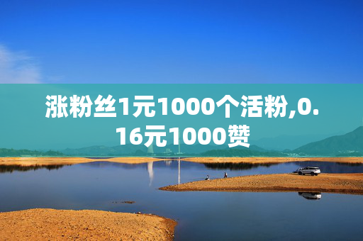 涨粉丝1元1000个活粉,0.16元1000赞