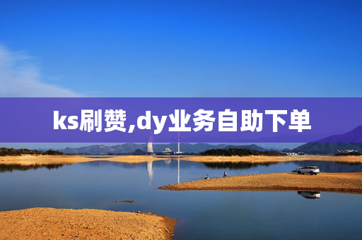 ks刷赞,dy业务自助下单