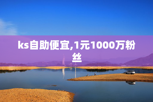 ks自助便宜,1元1000万粉丝