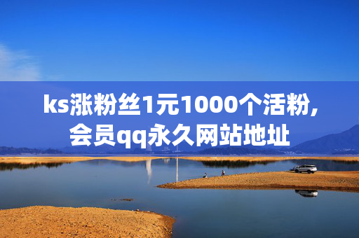 ks涨粉丝1元1000个活粉,会员qq永久网站地址