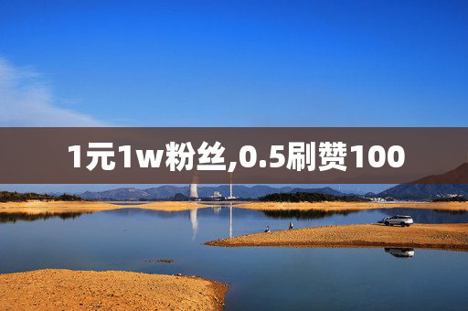 1元1w粉丝,0.5刷赞100