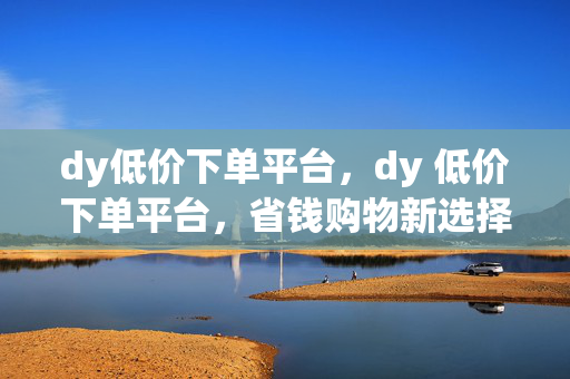 dy低价下单平台，dy 低价下单平台，省钱购物新选择