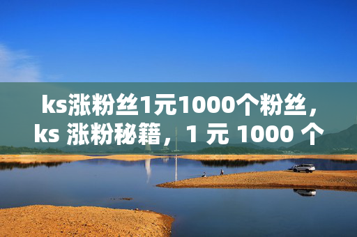 ks涨粉丝1元1000个粉丝，ks 涨粉秘籍，1 元 1000 个粉丝