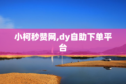 小柯秒赞网,dy自助下单平台