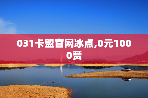 031卡盟官网冰点,0元1000赞