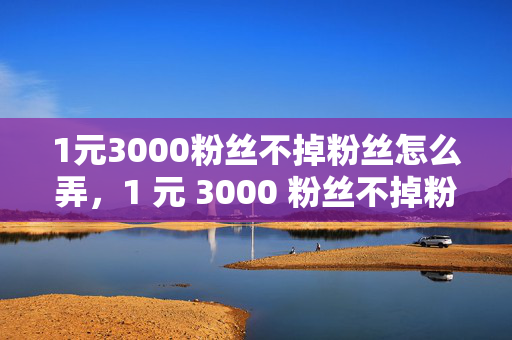 1元3000粉丝不掉粉丝怎么弄，1 元 3000 粉丝不掉粉的方法