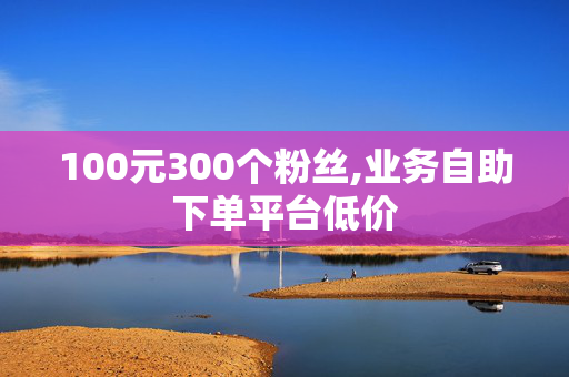 100元300个粉丝,业务自助下单平台低价