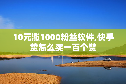 10元涨1000粉丝软件,快手赞怎么买一百个赞