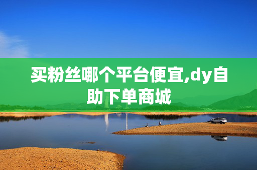 买粉丝哪个平台便宜,dy自助下单商城