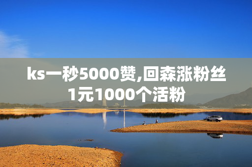 ks一秒5000赞,回森涨粉丝1元1000个活粉