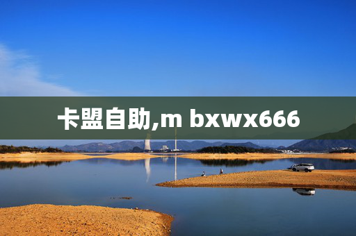 卡盟自助,m bxwx666