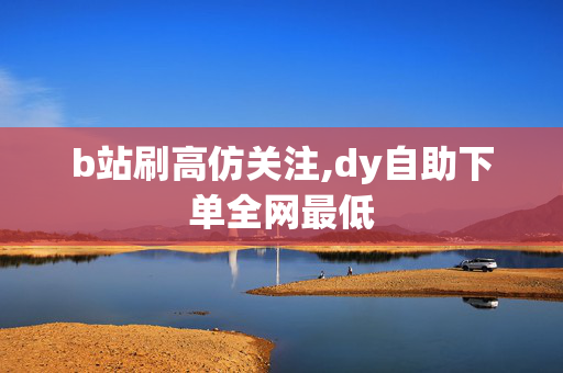 b站刷高仿关注,dy自助下单全网最低