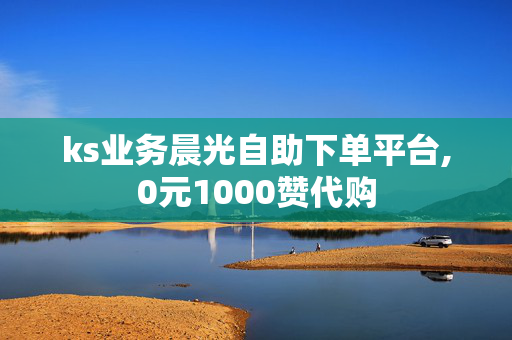 ks业务晨光自助下单平台,0元1000赞代购