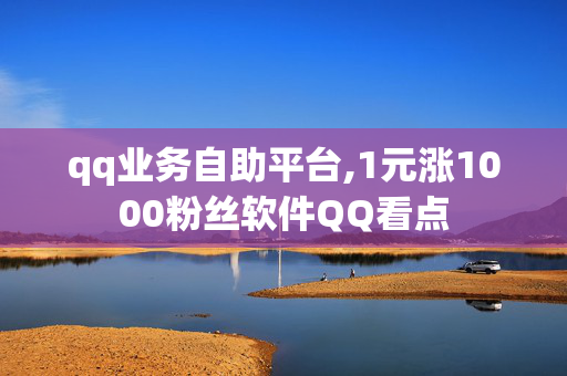 qq业务自助平台,1元涨1000粉丝软件QQ看点