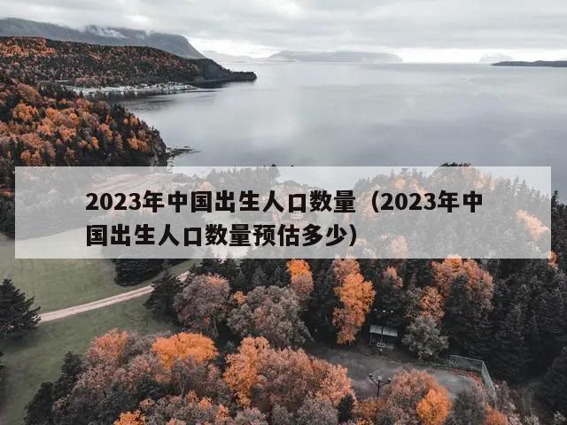 2023年中国出生人口数量（2023年中国出生人口数量预估多少）