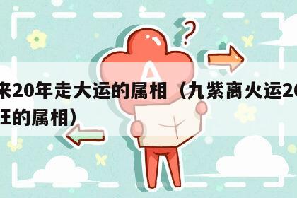 未来20年走大运的属相（九紫离火运20年最旺的属相）