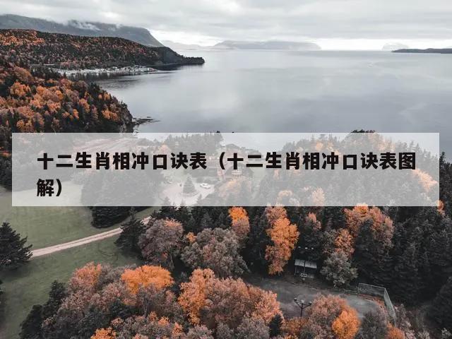 十二生肖相冲口诀表（十二生肖相冲口诀表图解）