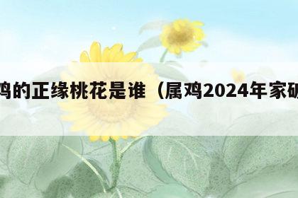 属鸡的正缘桃花是谁（属鸡2024年家破人亡）