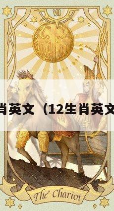 12生肖英文（12生肖英文单词）